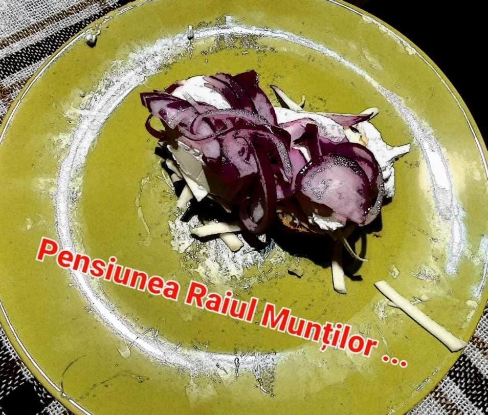 Pensiunea Raiul Muntilor Sebis ภายนอก รูปภาพ